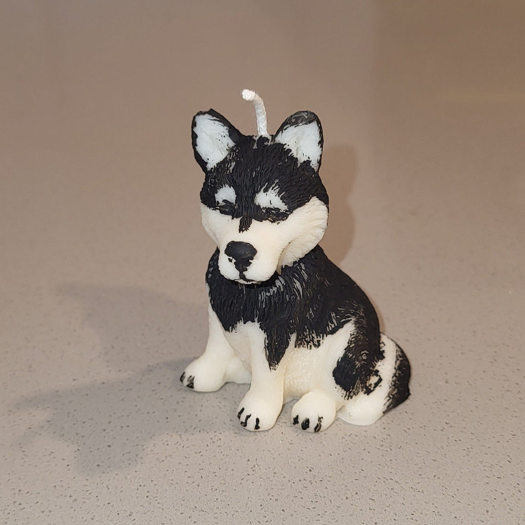Small Husky Puppy