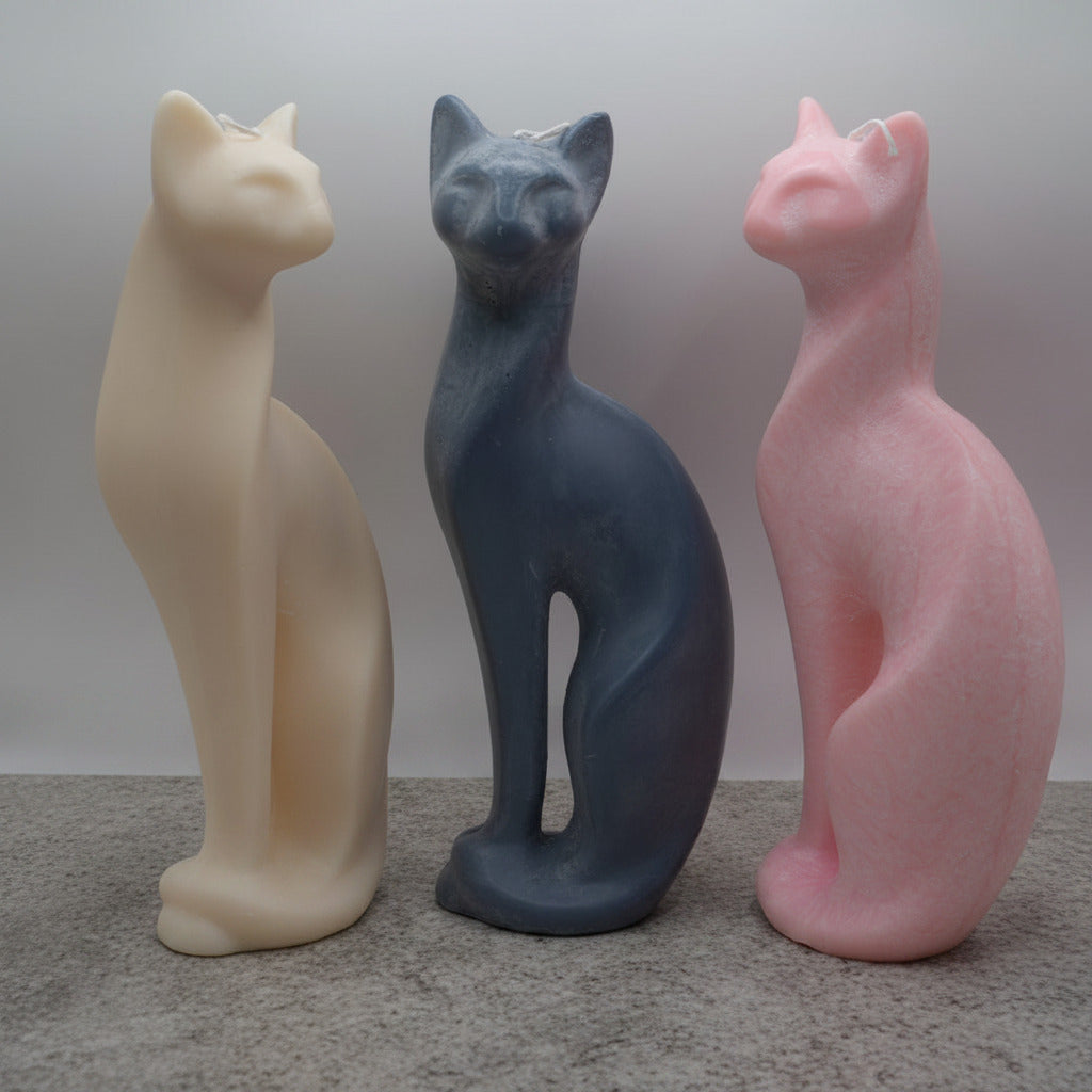 Modern Cat