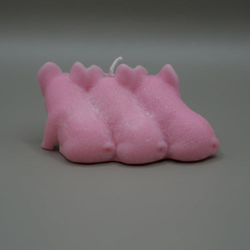3 Little Piggies