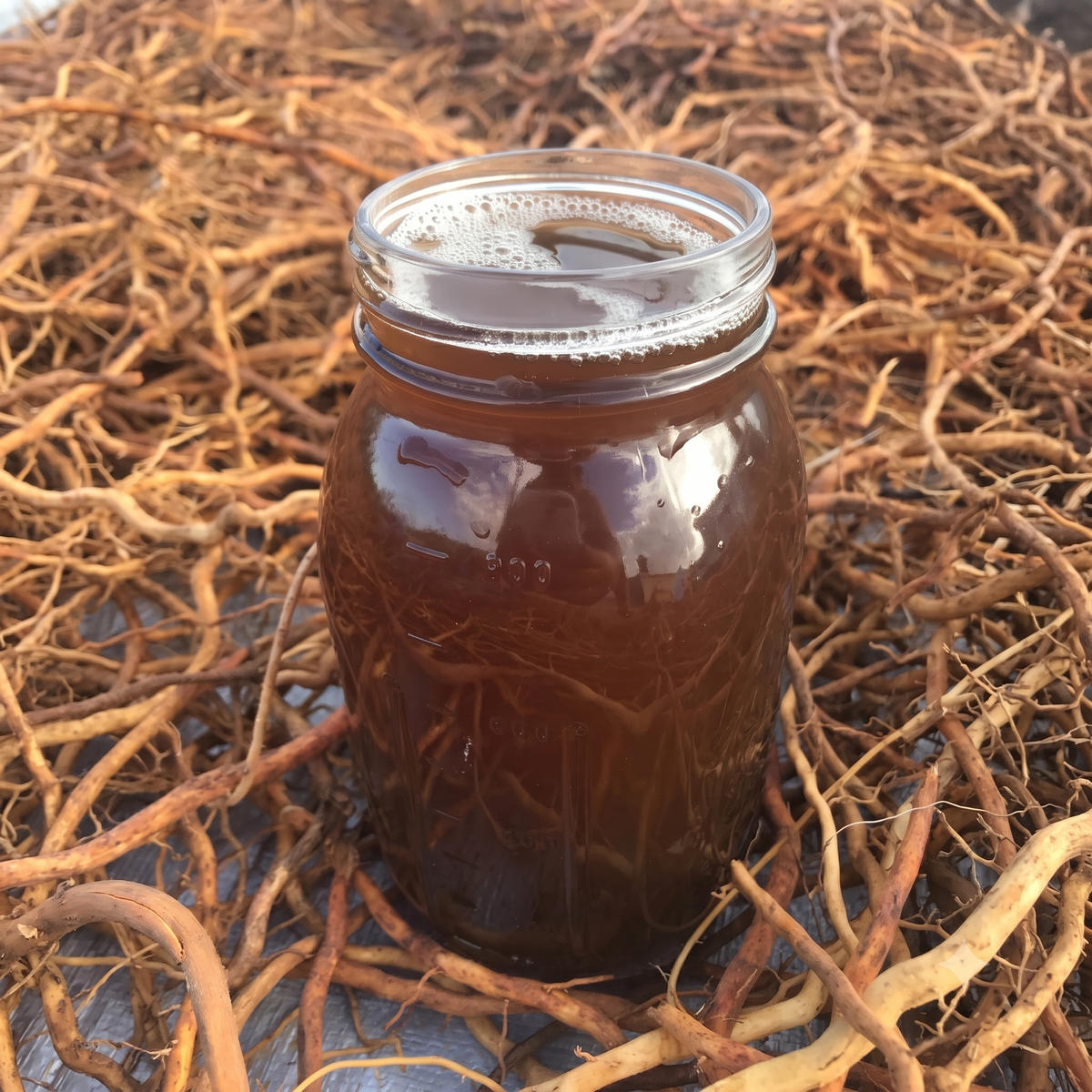 Jamaican Sarsaparilla Root (Coarse Powder)