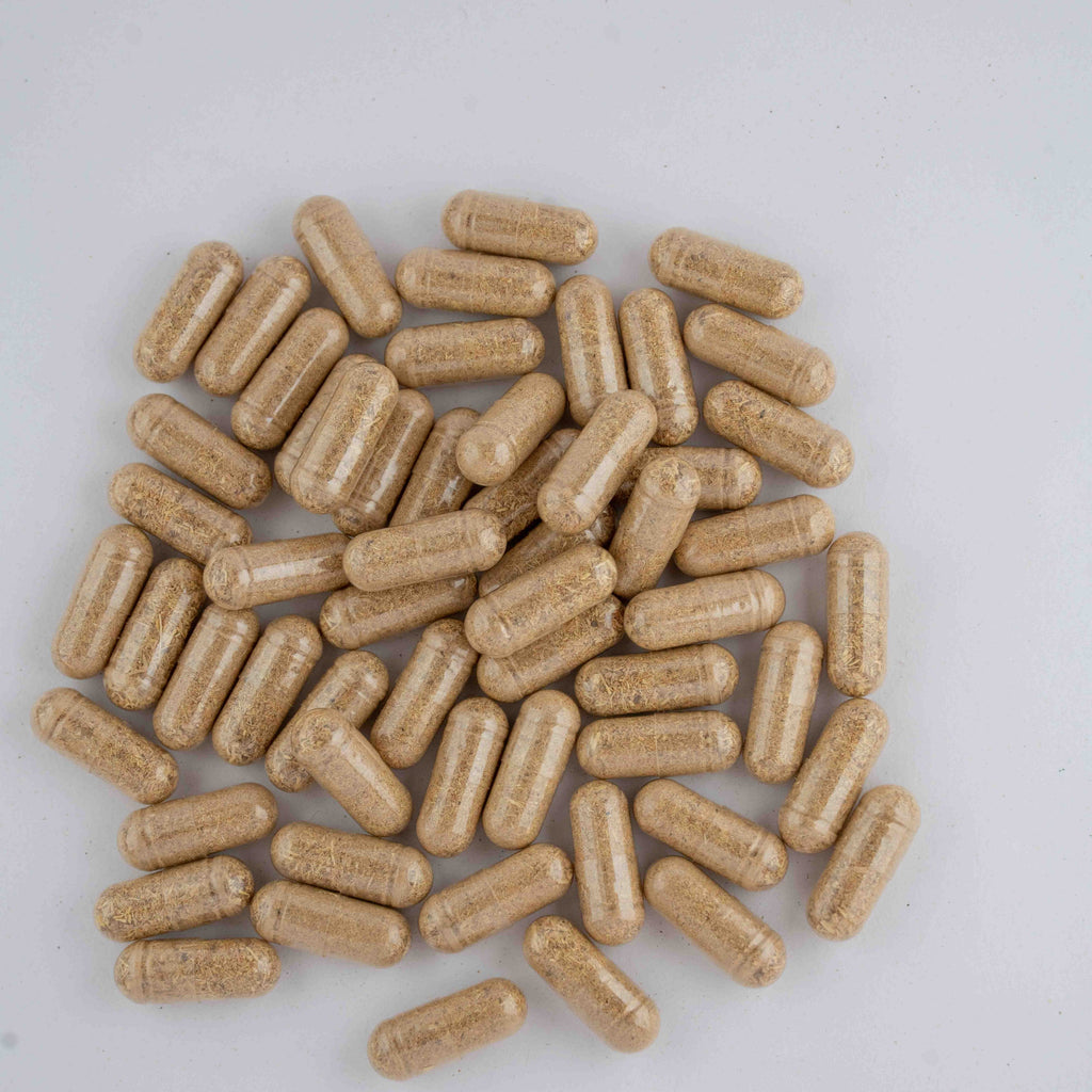 Iron Lion Capsules | Jamaican Roots Tonic Supplement with Sarsaparilla, Chaney Root (Cocolmeca), Strongback, Allman Strength