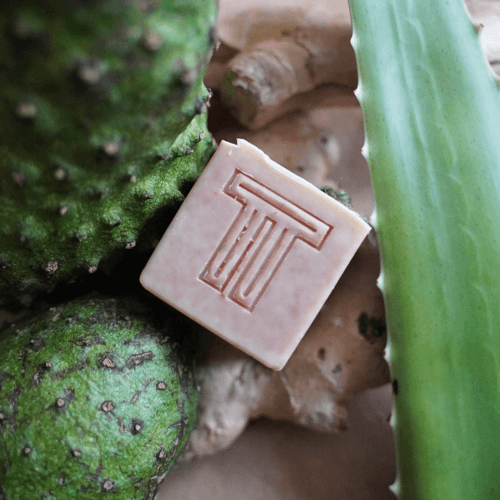 Fresh Soursop Soap